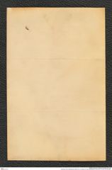 Nachlass Franz Steindachner, Brief von A. B. Meyer an Franz Steindachner (10.02.1877), Inv.Nr. 337.06, Seite 4